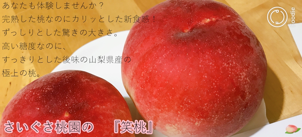 山梨県産 農家直送の『極上の桃』通販。当園おすすめの甘く美味しい桃