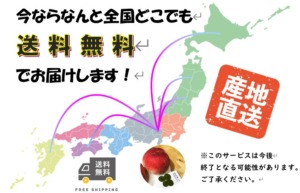 今ならなんと送料無料