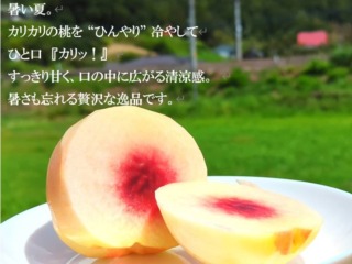 暑い夏。カリカリの桃を”ひんやり”冷やして、ひと口「カリッ！」すっきり甘く口の中に広がる清涼感。暑さも忘れる贅沢な逸品です。