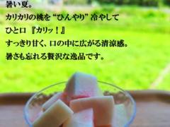 暑い夏。カリカリの桃を”ひんやり”冷やして、ひと口「カリッ！」すっきり甘く口の中に広がる清涼感。暑さも忘れる贅沢な逸品です。