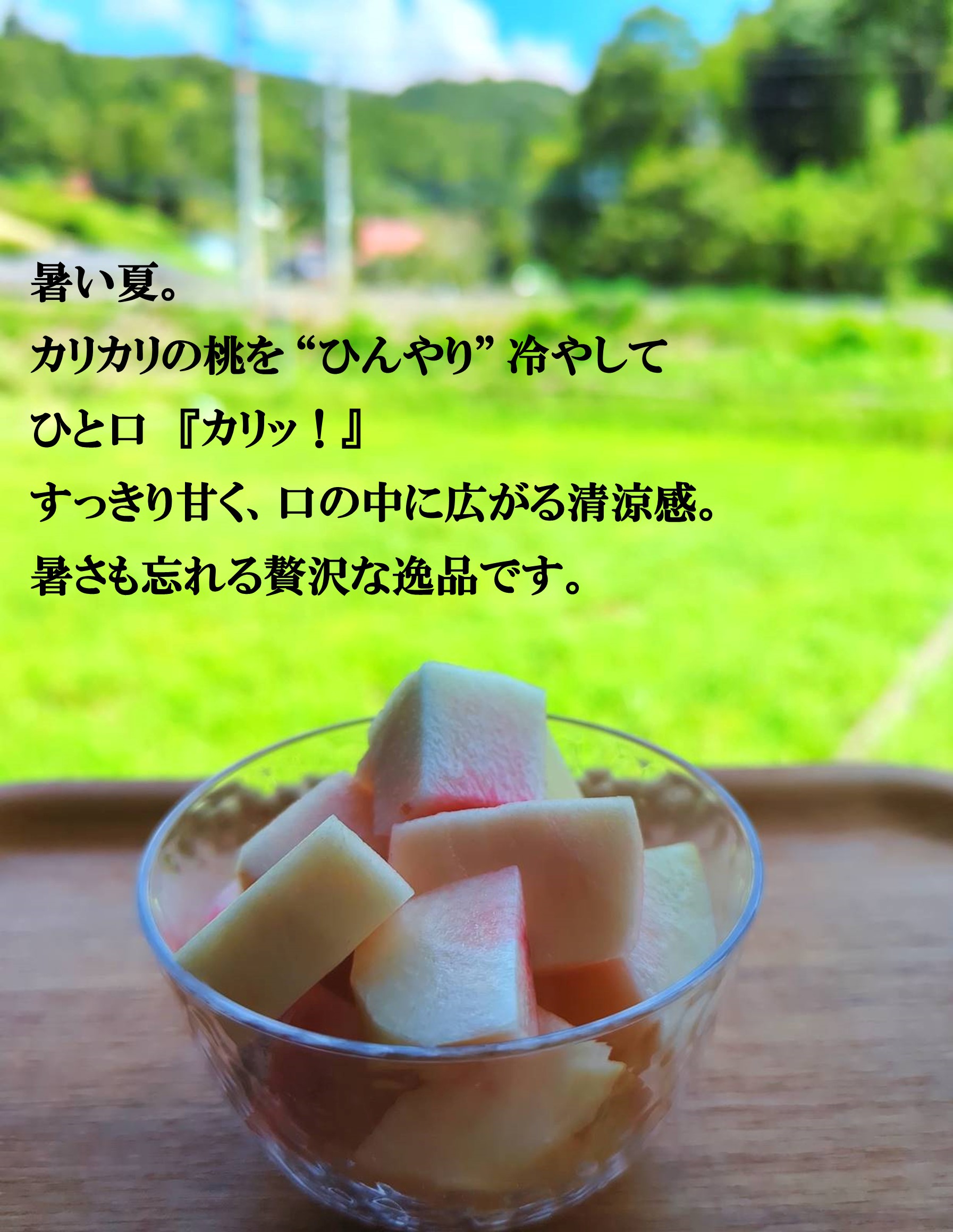 硬めカリカリ小玉桃10キロ　着色悪い桃　甘い桃 硬い桃】カリカリ食感の硬くて甘い品種の桃おすすめランキング